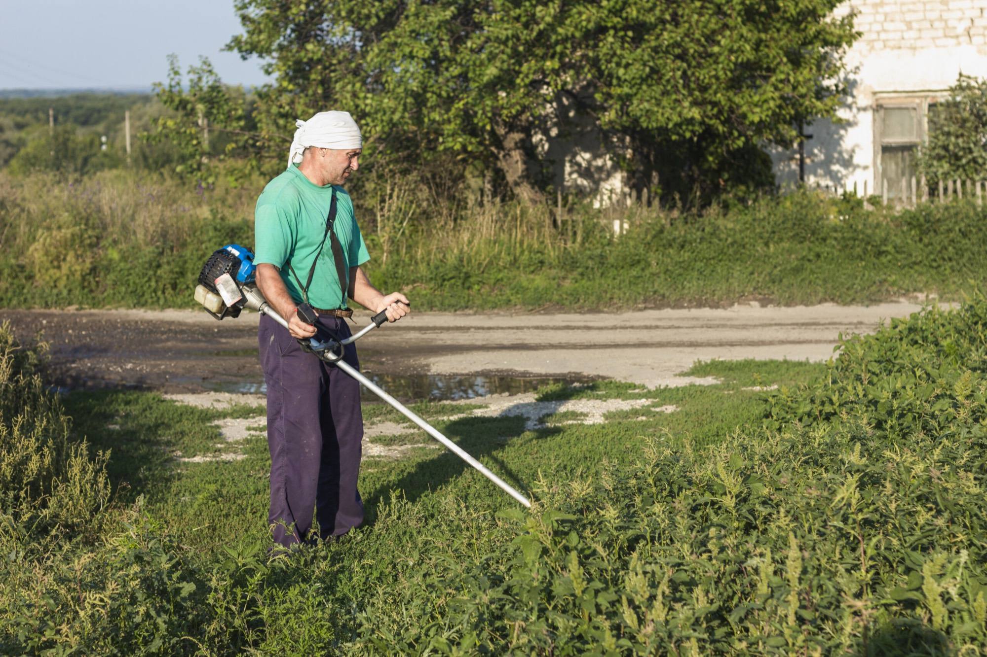 Yard maintenance with a lawn mower near a gravel path