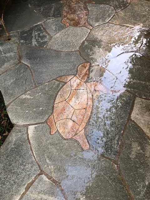 Sea turtle inlay of hand-cut tan stone swimming across a gray slate pool deck