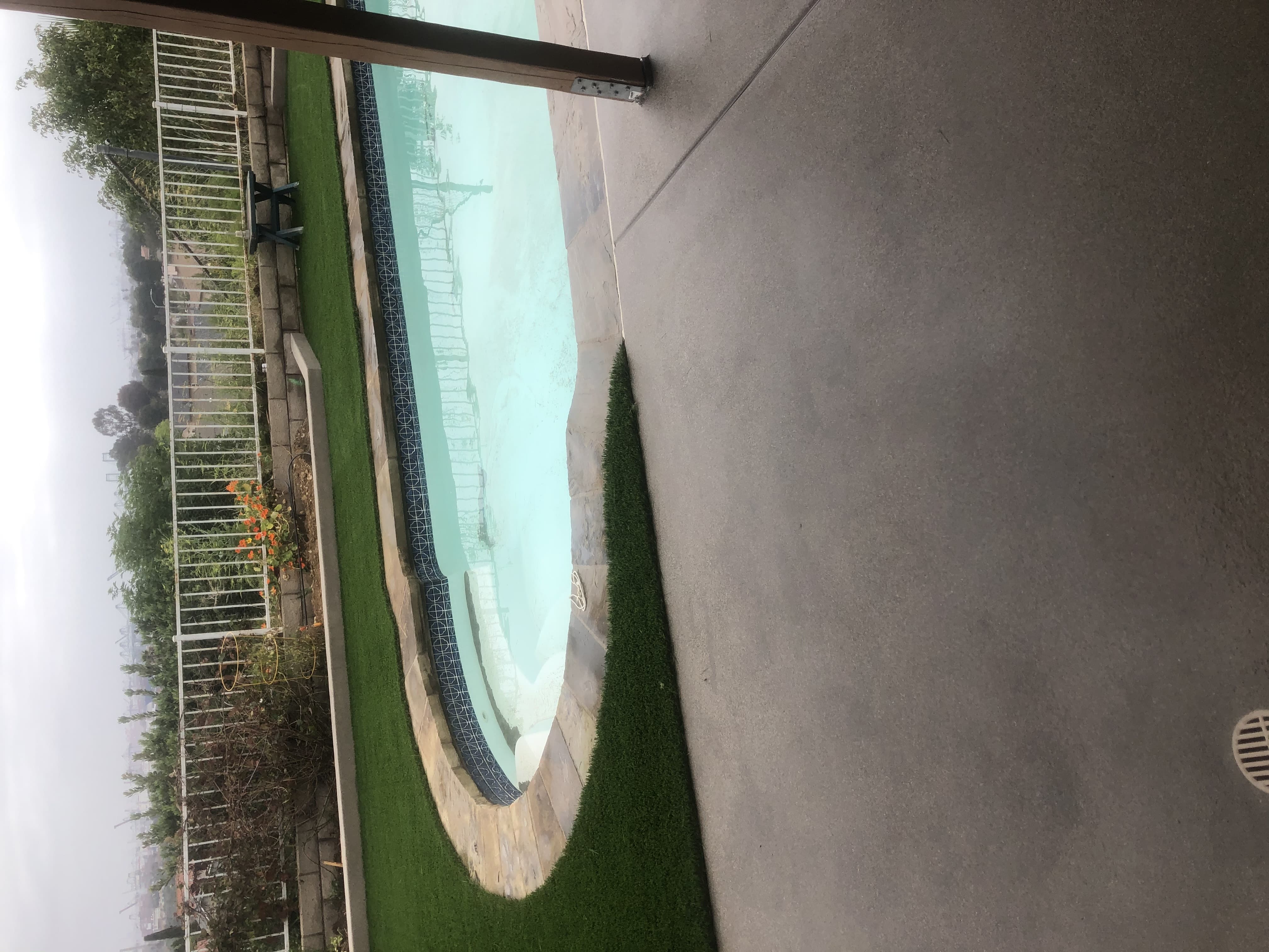 Kidney-shaped pool with buff stone coping, a new concrete deck, and turf behind